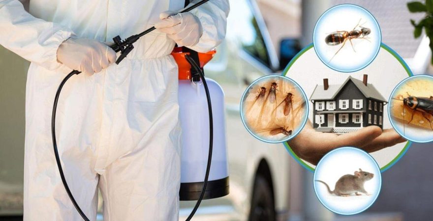 İmamoğlu Böcek İlaçlama