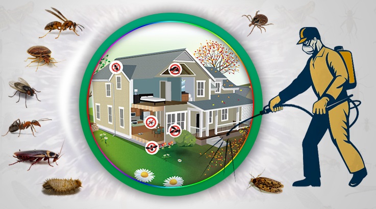 İmamoğlu Böcek İlaçlama