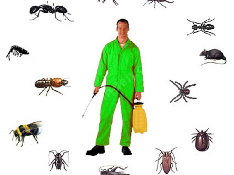 İmamoğlu Böcek İlaçlama